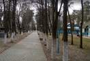 ОМР№2